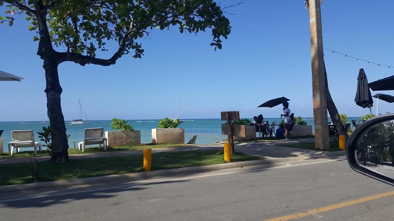 Saman Terrace Apartment Las Terrenas Dominican Republic